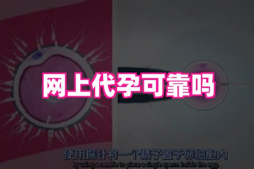 长沙助孕网站 1