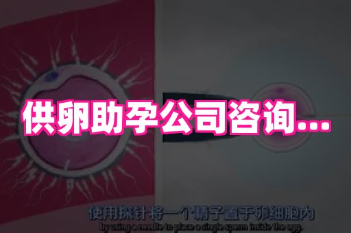 长沙助孕网站 2